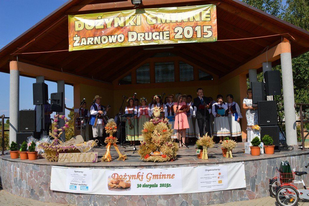 Dozynki Gminne 2015 (14)